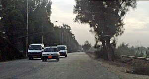 Desouk-Damanhour Road-2010.JPG