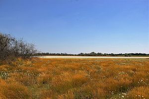 Lacul de par 05.jpg