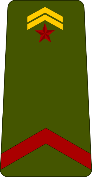 File:Djibouti-Army-OR-2.svg