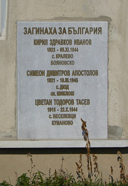 File:Dolna-Malina-memorial-plaque.jpg