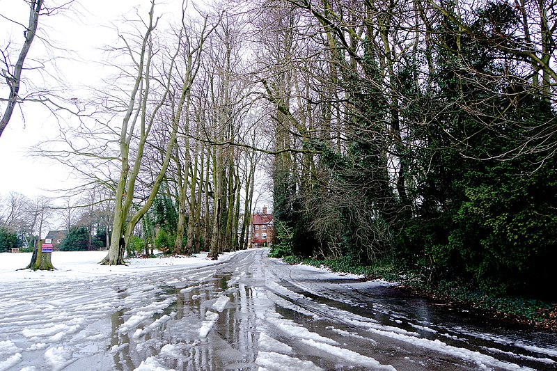 File:Driveway in the snow - geograph.org.uk - 3747363.jpg