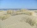 Dunes à La Coubre