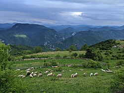 Blick von Džankići