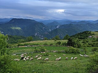 <span class="mw-page-title-main">Džankići</span> Village in Republika Srpska, Bosnia and Herzegovina