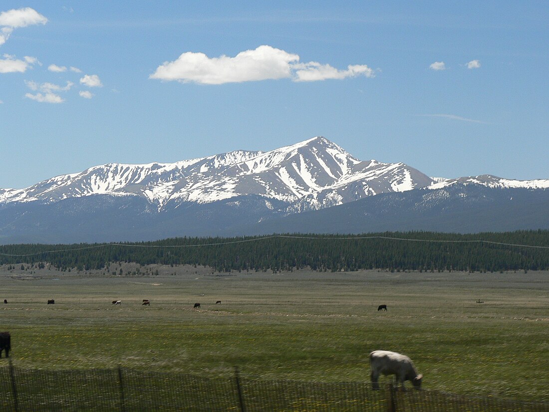 File:Elbert and Cattle.jpg