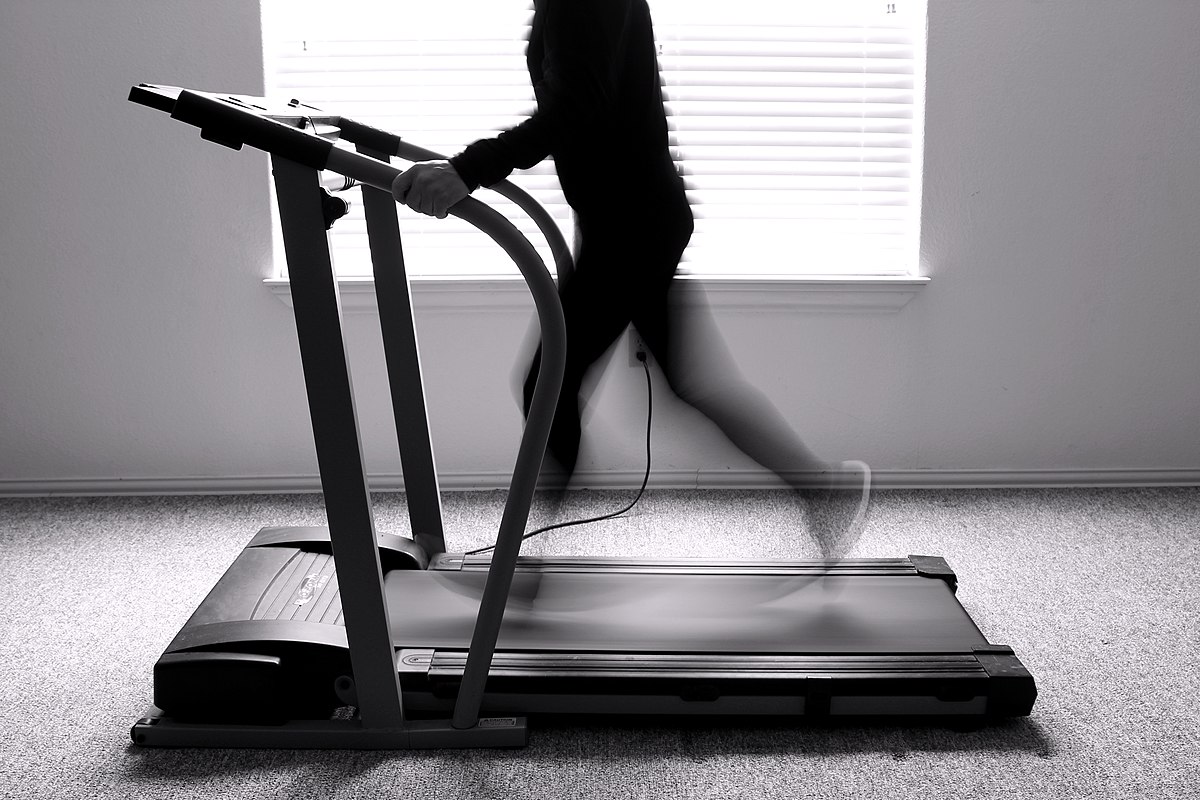 File:Exercise Treadmill Convey Motion.jpg - Wikimedia Commons.