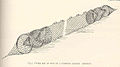 FMIB 40197 Fykes Set at End of a Common Leader Norway.jpeg