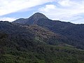 Miniatura para Cumbres boscosas endemicas en Callayuc