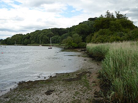 Ferry Cliff, Sutton 2