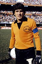 1978 WC Argentina Goalkeeper Jersey Ubaldo Fillol