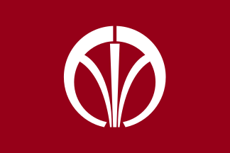 File:Flag of Iizuka, Fukuoka.svg