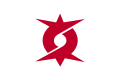 Flag of Ine, Kyoto.svg