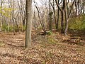 Floodplain of Sandom Branch downstream of DE 1.jpg