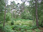 Domäne von Fontainebleau: Schloss, Gärten, Park und Wald (Erweiterung)