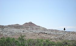 Fruita Paleontological Resource Area. One of the sites is denoted by the arrow. FruitaPaleo.JPG