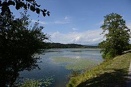 Gösselsdorfer See(1).JPG