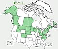 Galeopsis bifida USA range map