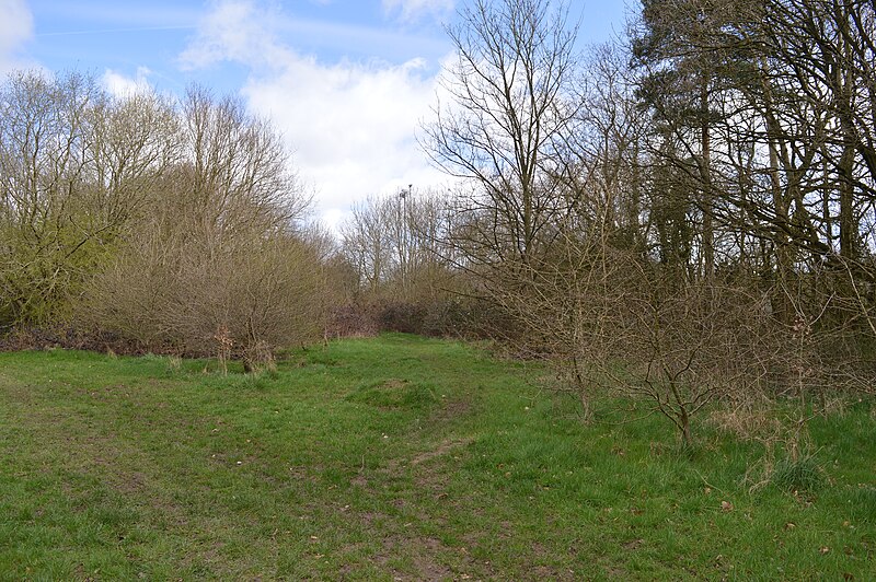 File:Garston Park Local Nature Reserve 8.JPG