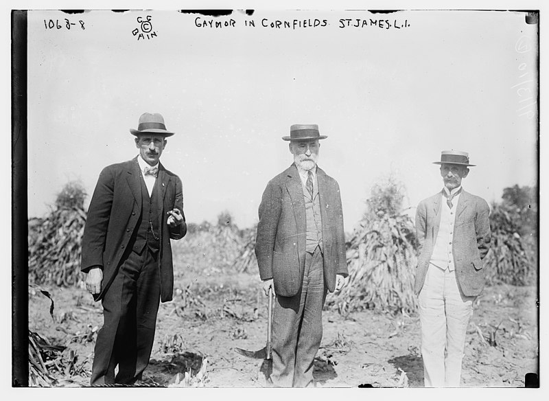 File:Gaynor with others in cornfield, St. James, L.I. LCCN2014685146.jpg