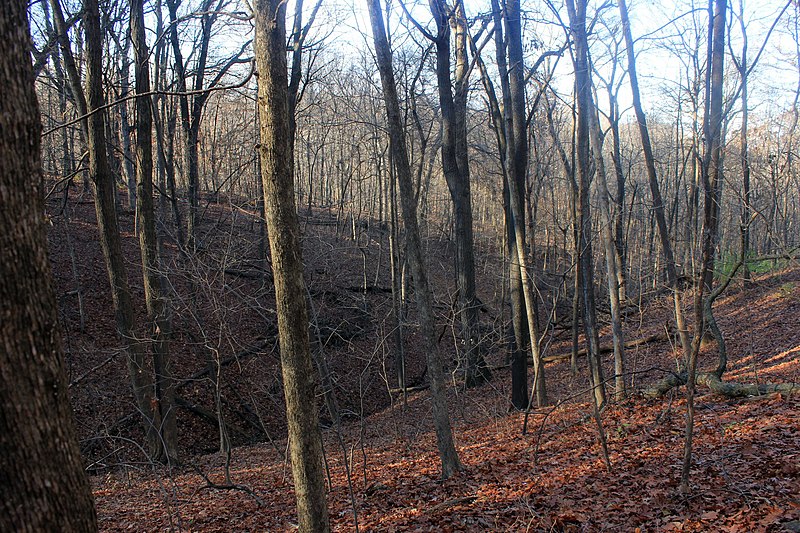 File:Gfp-iowa-bellevue-state-park-looking-into-the-valley.jpg