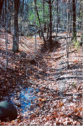 <span class="mw-page-title-main">Glenview Creek</span> River in Glenview, Illinois, US