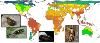 La biodiversité mondiale estimée à partir de la richesse spécifique en  vertébrés terrestres (les biorégions les plus riches sont en rouge, celles les moins en vert).