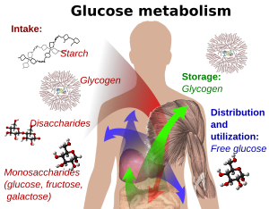 Glucose