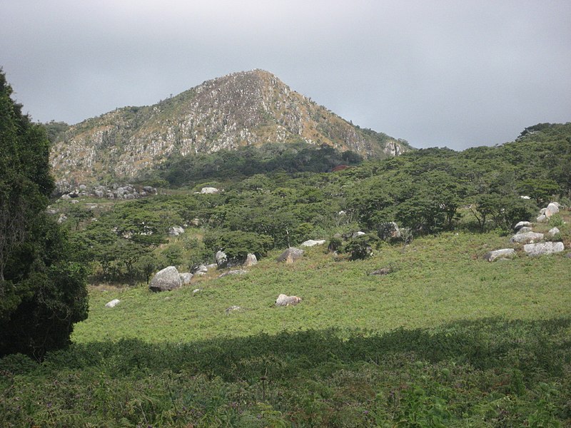 চিত্র:Gorongosa - Gogogo peak. (4403966914).jpg