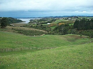 Litter in New Zealand