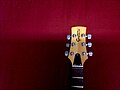 Gretsch Beast 1500 Headstock.jpg