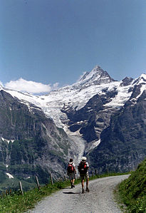 Grindelwaldgletscher, Zwitserland.jpg