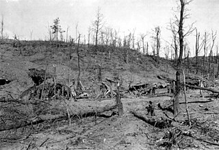 <span class="mw-page-title-main">Battle of Asiago</span> Battle on the Italian Front during World War I