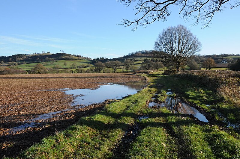 File:Headland track and footpath - geograph.org.uk - 3256882.jpg