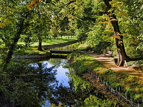 Autumn in Wörlitz Park