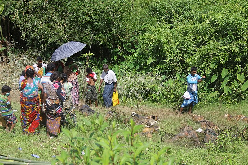 File:Hindus with massacred family members in Rakhine State.jpg