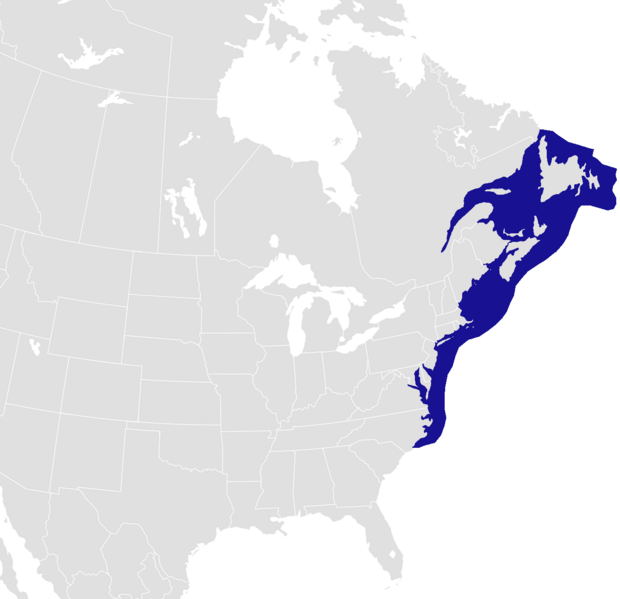 File:Homerus americanus distribution.png