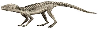 <i>Hoplosuchus</i> Extinct genus of reptiles