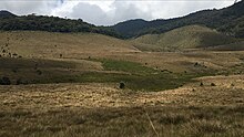 Montane plains as seen in Horton Plains in Sri Lanka. Horton Plains 2021.jpg