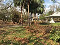 Hurricane Irma Cleanup (23543091588).jpg