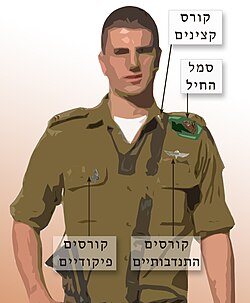 סיכות צה"ל - ויקיפדיה