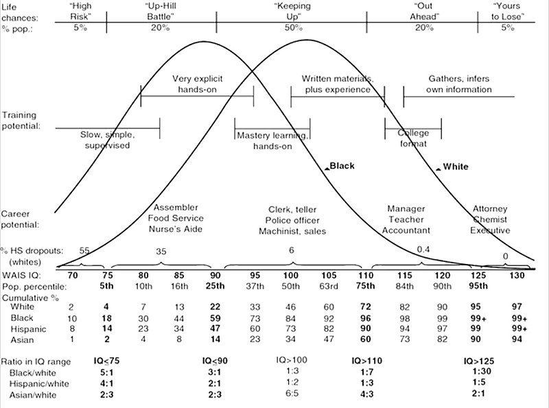 File:IQ Distributions and Occupations.jpg