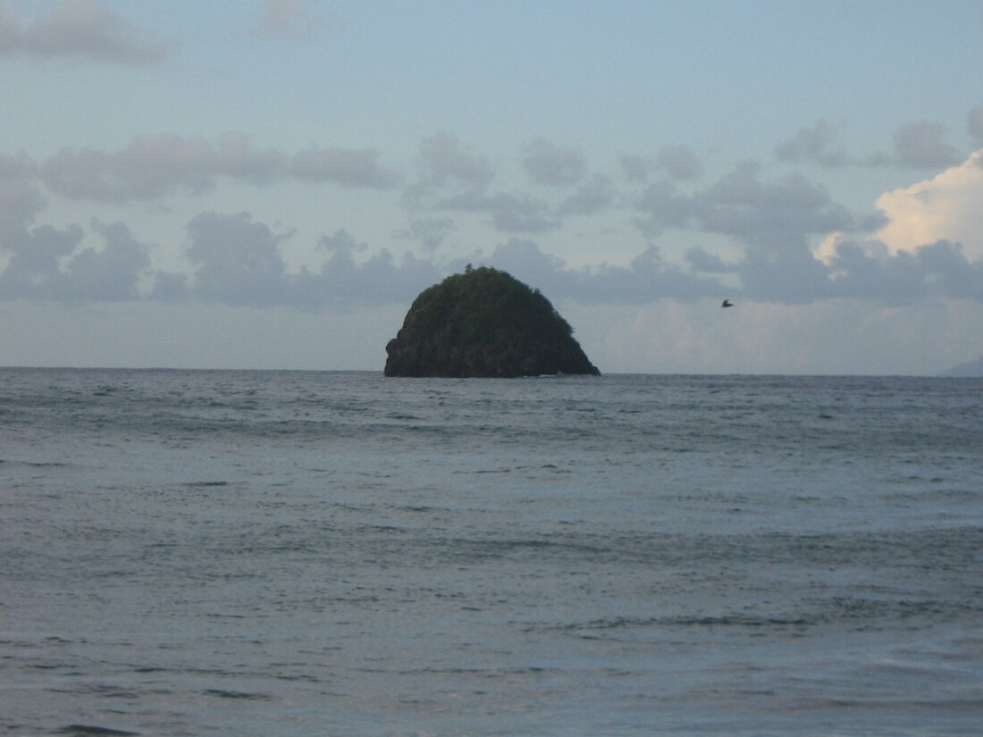 Réserve naturelle régionale marine du Prêcheur - Albert Falco