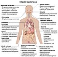 Miniatură pentru versiunea din 21 februarie 2019 02:15