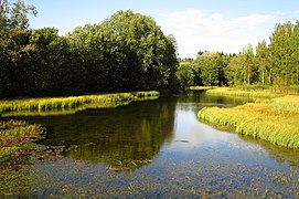 Jäneda Väike Allikajärv