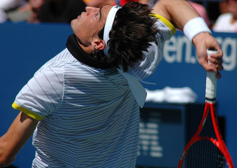 File:Jérémy Chardy at the 2009 US Open 02.jpg