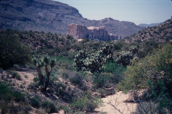 Joshua Forest Parkway in Yavapai County northwest of Wickenburg in 2007