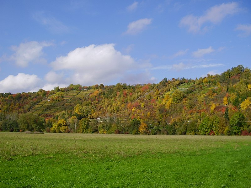 File:Jagsttal Möckmühl Oktober.JPG