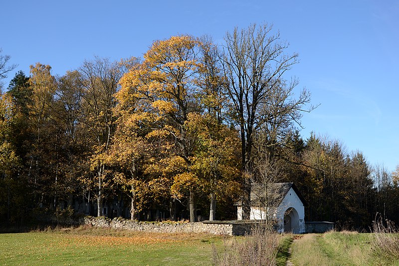 File:Jewish cemetery in Dřevíkov.jpg