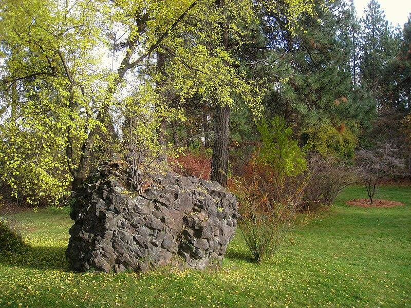 File:John A. Finch Arboretum - IMG 6900.JPG