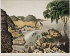 Collecting birds' nests east of Rankop, Java. Franz Junghuhn and C.W. Mieling, circa 1855